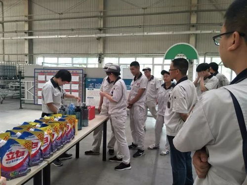 軟質(zhì)車間 粽香傳情系端午，匠心筑夢(mèng)展風(fēng)采